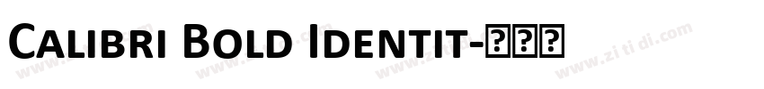 Calibri Bold Identit字体转换